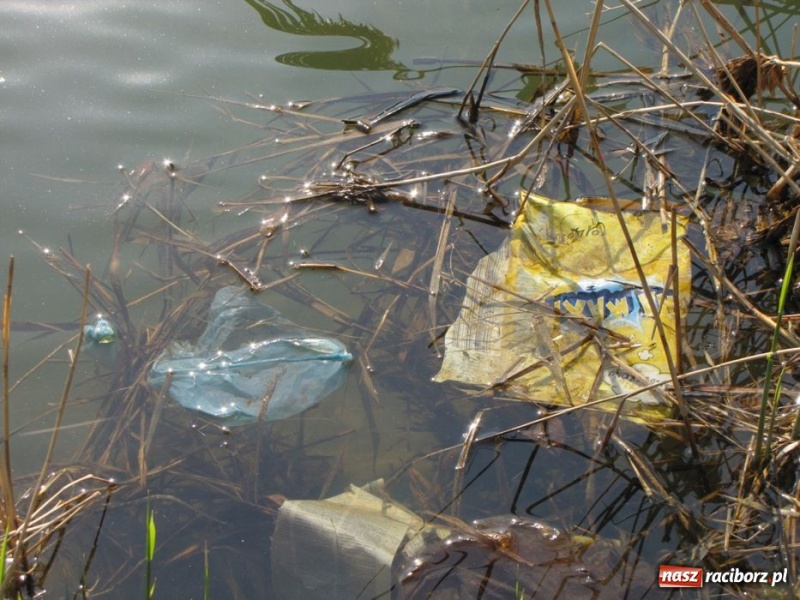 Zdjęcie w galerii na portalu naszraciborz.pl: Żwirownia tonie w śmieciach wiadomości z regionu