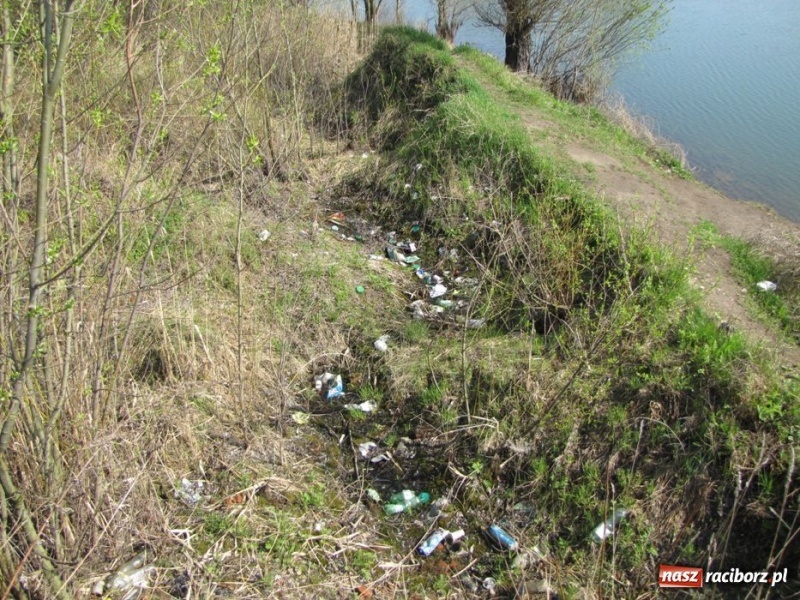 Zdjęcie w galerii na portalu naszraciborz.pl: Żwirownia tonie w śmieciach wiadomości z regionu
