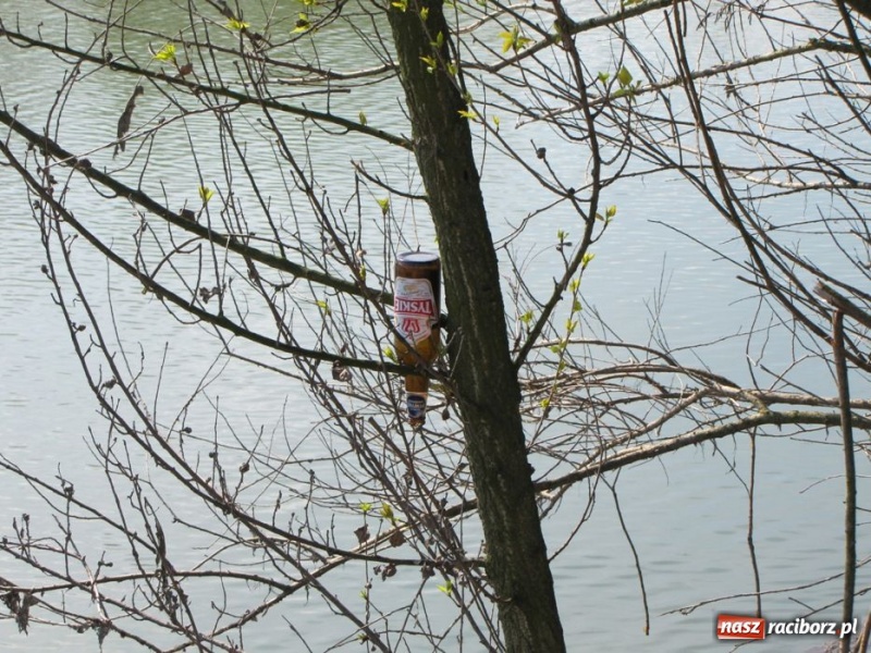 Zdjęcie w galerii na portalu naszraciborz.pl: Żwirownia tonie w śmieciach wiadomości z regionu