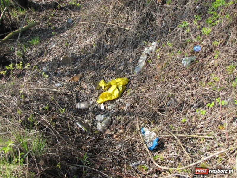 Zdjęcie w galerii na portalu naszraciborz.pl: Żwirownia tonie w śmieciach wiadomości z regionu