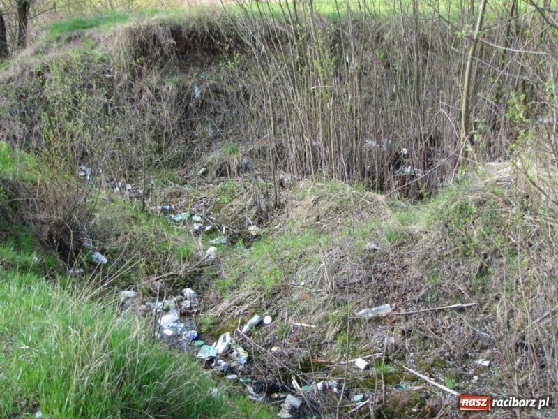 Zdjęcie w galerii na portalu naszraciborz.pl: Żwirownia tonie w śmieciach wiadomości z regionu