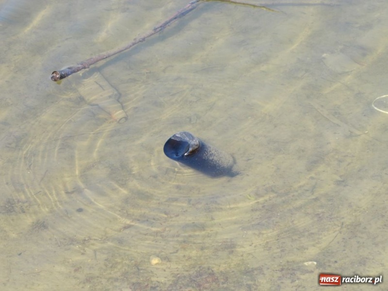 Zdjęcie w galerii na portalu naszraciborz.pl: Żwirownia tonie w śmieciach wiadomości z regionu