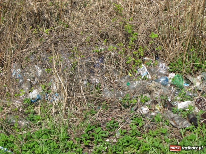 Zdjęcie w galerii na portalu naszraciborz.pl: Żwirownia tonie w śmieciach wiadomości z regionu