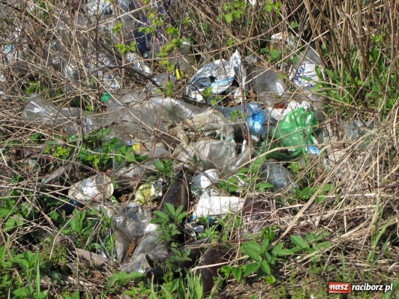 Zdjęcie w galerii na portalu naszraciborz.pl: Żwirownia tonie w śmieciach wiadomości z regionu