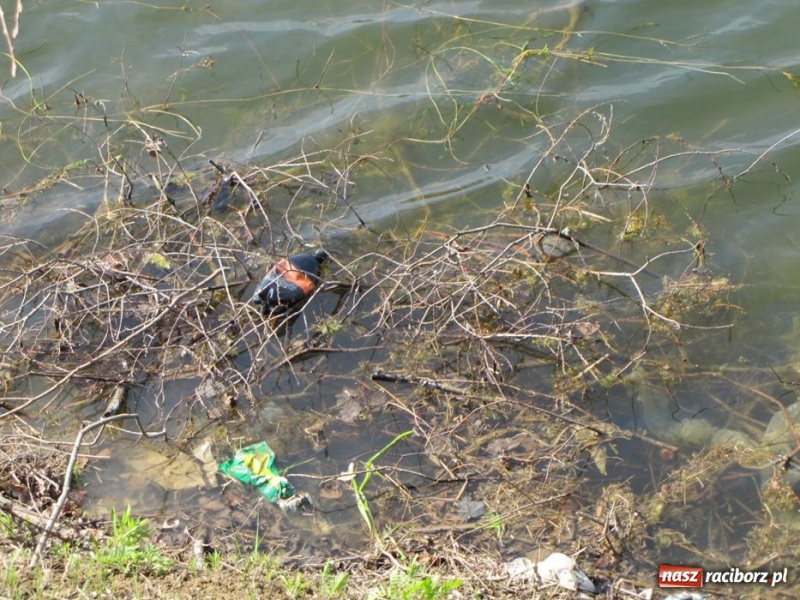 Zdjęcie w galerii na portalu naszraciborz.pl: Żwirownia tonie w śmieciach wiadomości z regionu