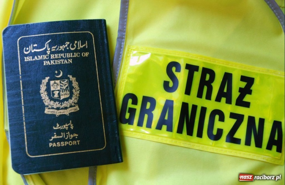 Zdjęcie w galerii na portalu naszraciborz.pl: ŚOSG: Zatrzymani Pakistańczycy ze sfałszowanymi dokumentami wiadomości z regionu