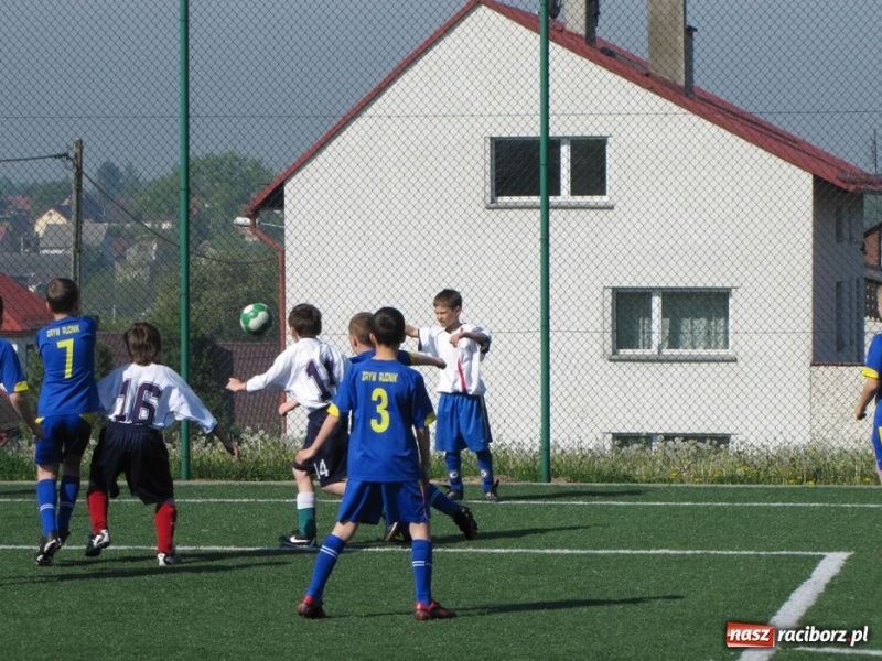 Zdjęcie w galerii na portalu naszraciborz.pl: Młodziki zagrały w powiatowym turnieju wiadomości z regionu