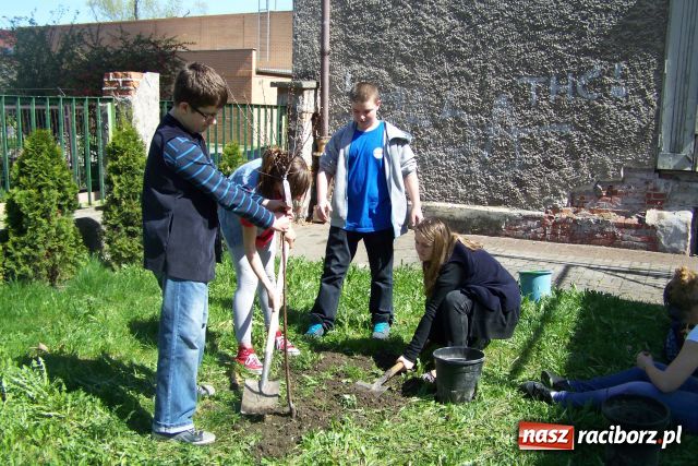 Zdjęcie w galerii na portalu naszraciborz.pl: Rok dla Ziemi w G5 wiadomości z regionu