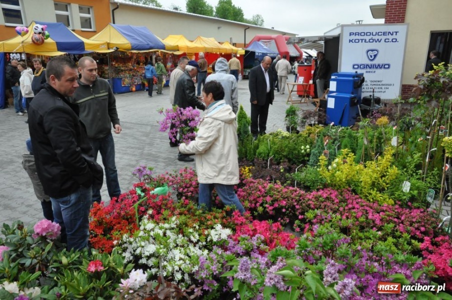 Zdjęcie w galerii na portalu naszraciborz.pl: Deszcz nie odstraszył zwiedzających wiadomości z regionu
