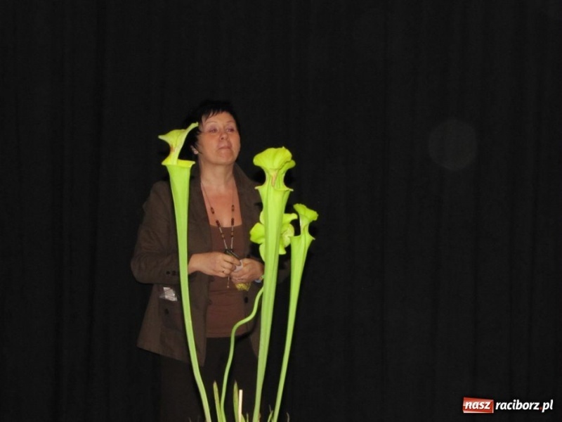 Zdjęcie w galerii na portalu naszraciborz.pl: Tych roślin lepiej nie wąchać wiadomości z regionu