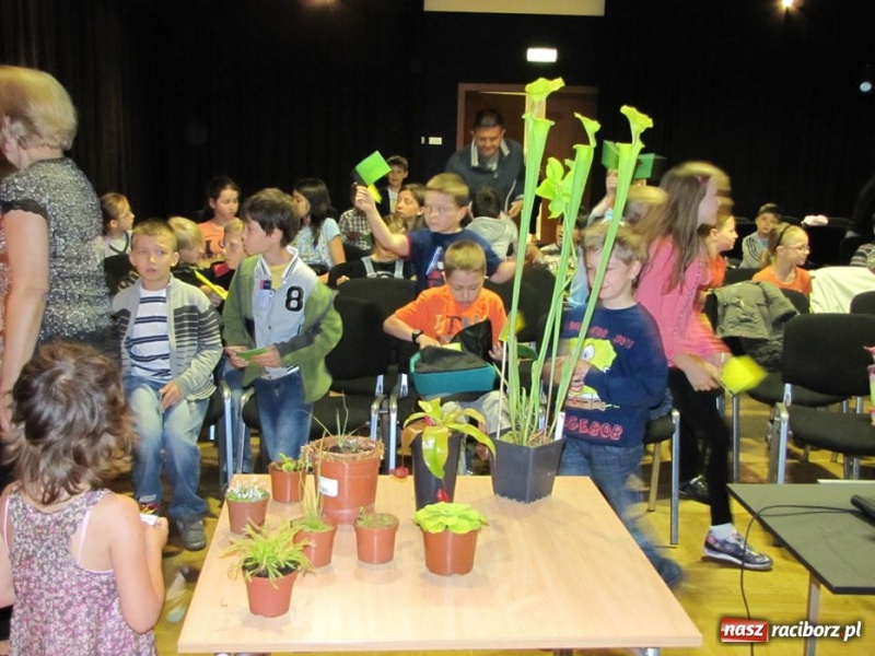 Zdjęcie w galerii na portalu naszraciborz.pl: Tych roślin lepiej nie wąchać wiadomości z regionu