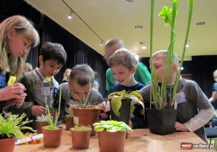 Zdjęcie w galerii na portalu naszraciborz.pl: Tych roślin lepiej nie wąchać wiadomości z regionu