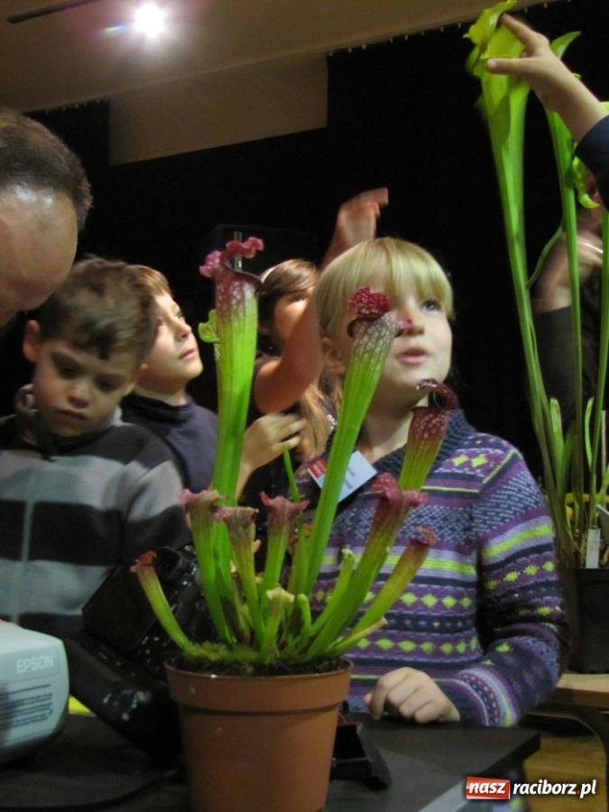 Zdjęcie w galerii na portalu naszraciborz.pl: Tych roślin lepiej nie wąchać wiadomości z regionu