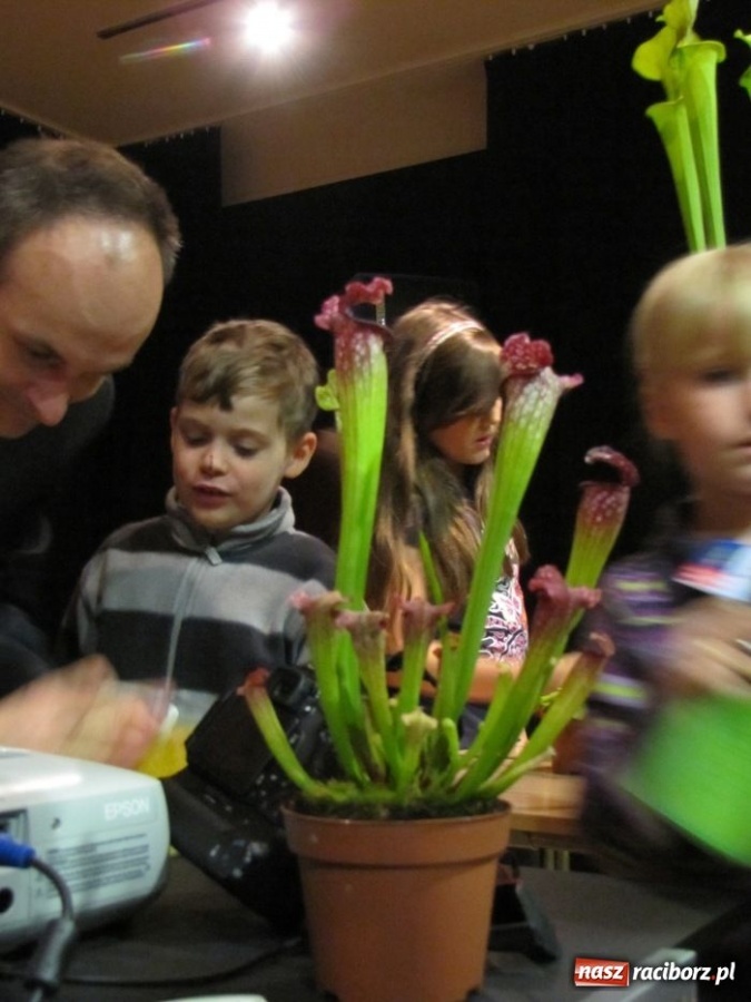 Zdjęcie w galerii na portalu naszraciborz.pl: Tych roślin lepiej nie wąchać wiadomości z regionu