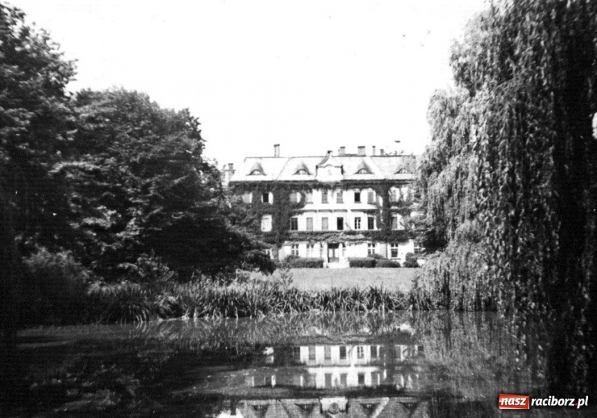 Zdjęcie w galerii na portalu naszraciborz.pl: Niezwykła historia parkowego stawu  wiadomości z regionu