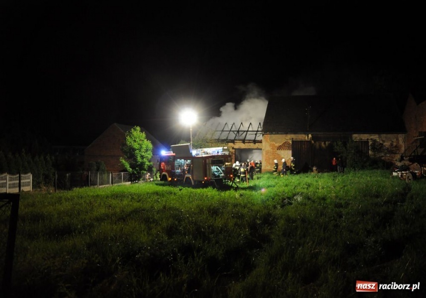 Zdjęcie w galerii na portalu naszraciborz.pl: Podpalacz z Krzanowic znów grasuje wiadomości z regionu