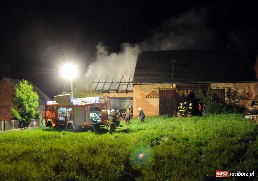 Zdjęcie w galerii na portalu naszraciborz.pl: Podpalacz z Krzanowic znów grasuje wiadomości z regionu