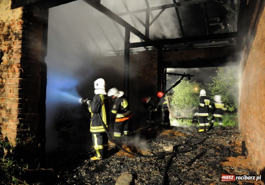 Zdjęcie w galerii na portalu naszraciborz.pl: Podpalacz z Krzanowic znów grasuje wiadomości z regionu