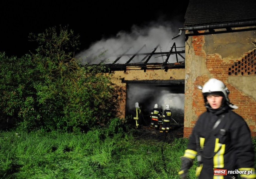 Zdjęcie w galerii na portalu naszraciborz.pl: Podpalacz z Krzanowic znów grasuje wiadomości z regionu