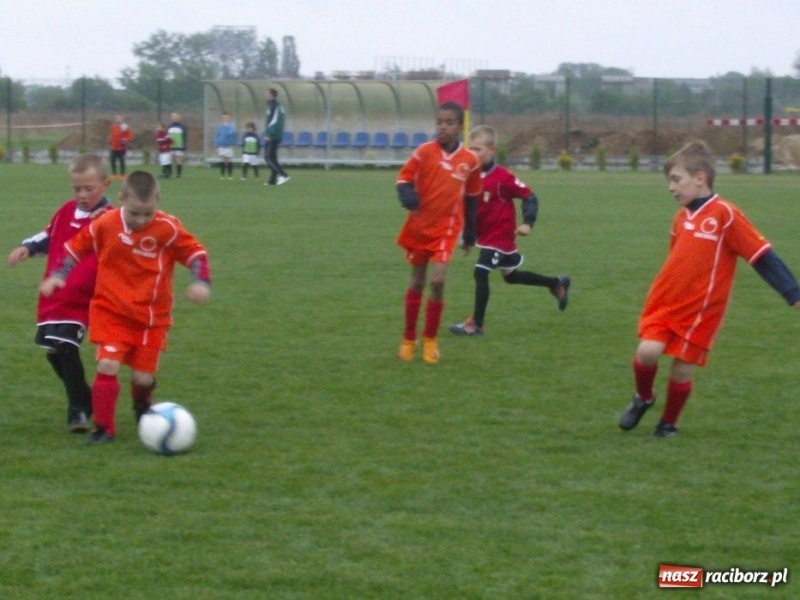 Zdjęcie w galerii na portalu naszraciborz.pl: Unia Racibórz wygrała Ligę Europejską wiadomości z regionu