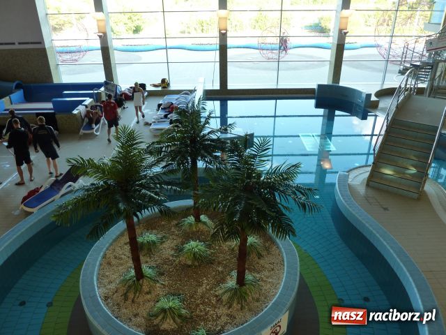 Zdjęcie w galerii na portalu naszraciborz.pl: Rekordy Krzysztofa Tokarskiego wiadomości z regionu