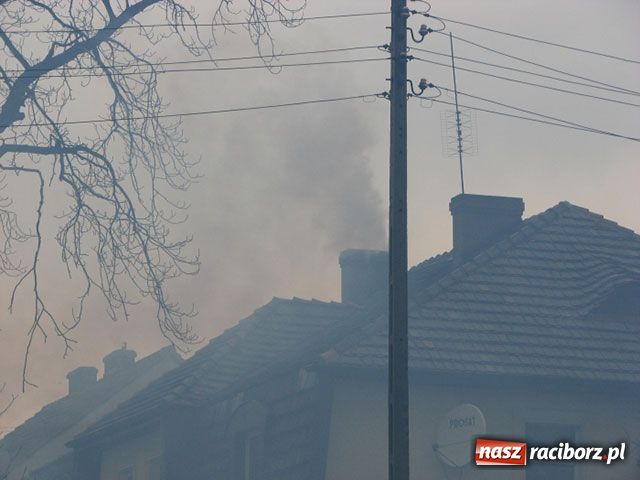 Zdjęcie w galerii na portalu naszraciborz.pl: Ludzie palą co popadnie i smrodzą wiadomości z regionu