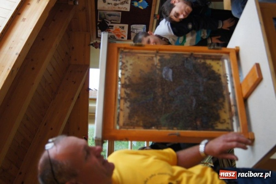 Zdjęcie w galerii na portalu naszraciborz.pl: Spotkanie w czeskiej pasiece wiadomości z regionu