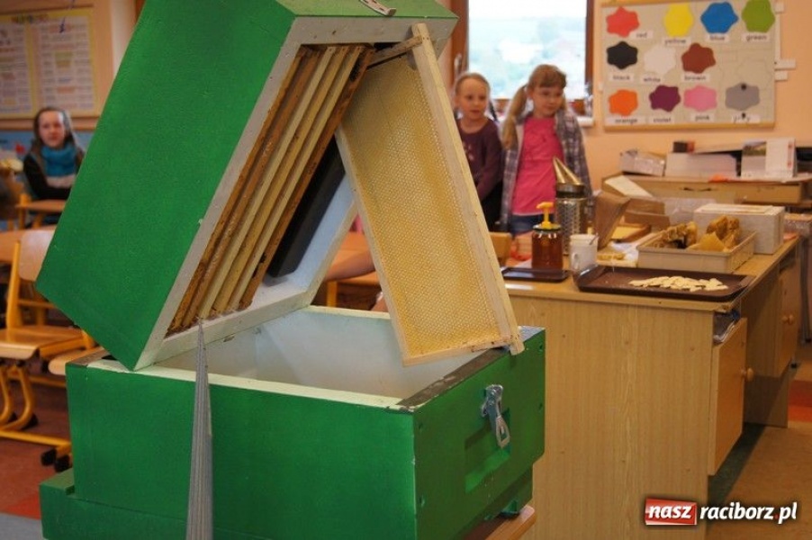 Zdjęcie w galerii na portalu naszraciborz.pl: Spotkanie w czeskiej pasiece wiadomości z regionu