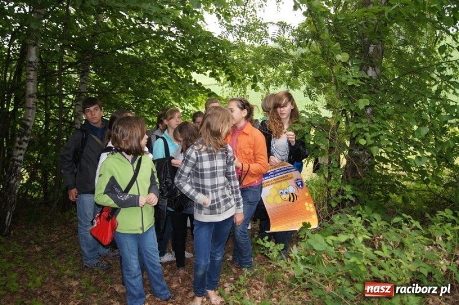 Zdjęcie w galerii na portalu naszraciborz.pl: Spotkanie w czeskiej pasiece wiadomości z regionu