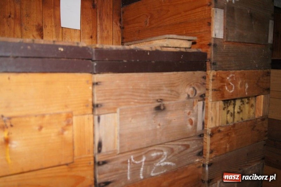 Zdjęcie w galerii na portalu naszraciborz.pl: Spotkanie w czeskiej pasiece wiadomości z regionu