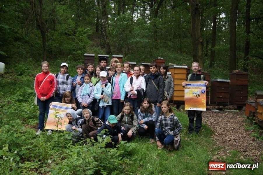 Zdjęcie w galerii na portalu naszraciborz.pl: Spotkanie w czeskiej pasiece wiadomości z regionu