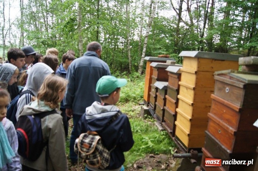 Zdjęcie w galerii na portalu naszraciborz.pl: Spotkanie w czeskiej pasiece wiadomości z regionu