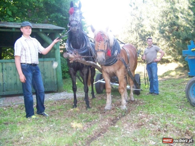 Zdjęcie w galerii na portalu naszraciborz.pl: Konna majówka z księdzem Grzegorzem wiadomości z regionu