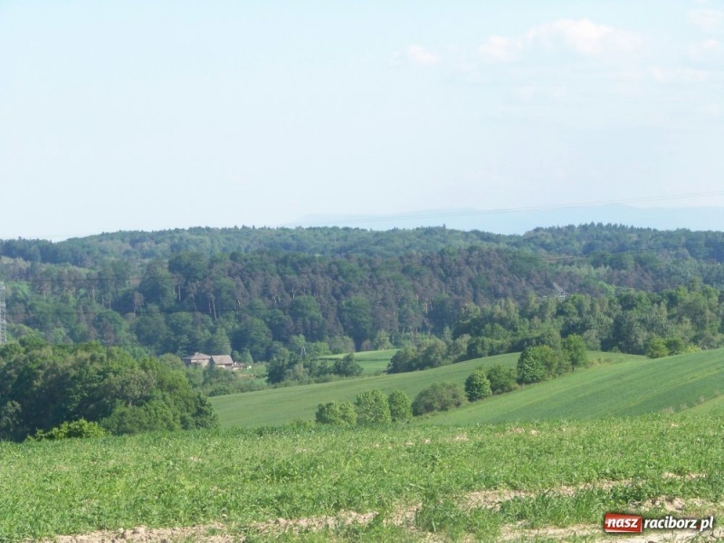 Zdjęcie w galerii na portalu naszraciborz.pl: Konna majówka z księdzem Grzegorzem wiadomości z regionu