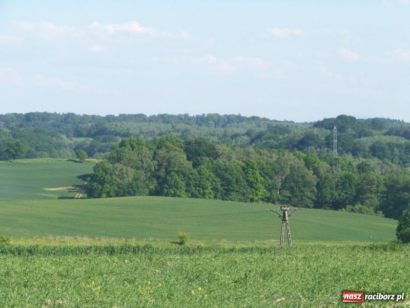 Zdjęcie w galerii na portalu naszraciborz.pl: Konna majówka z księdzem Grzegorzem wiadomości z regionu