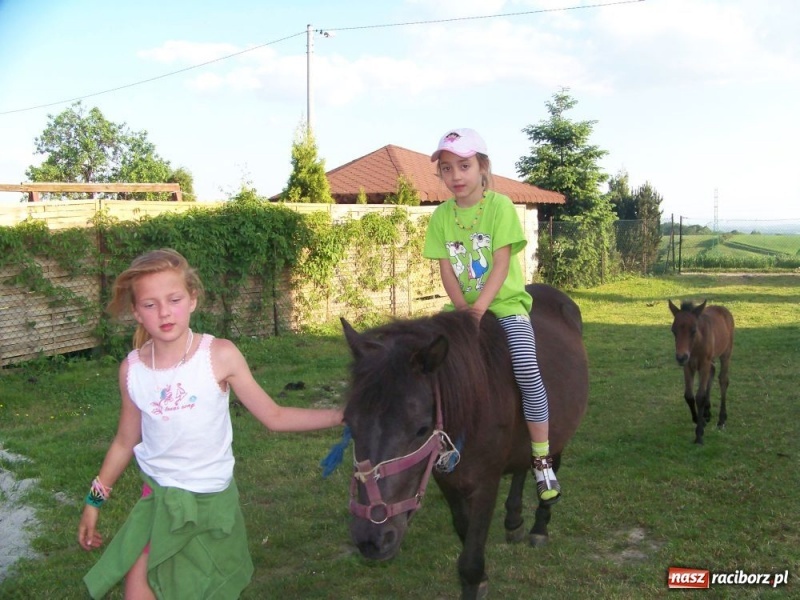 Zdjęcie w galerii na portalu naszraciborz.pl: Konna majówka z księdzem Grzegorzem wiadomości z regionu