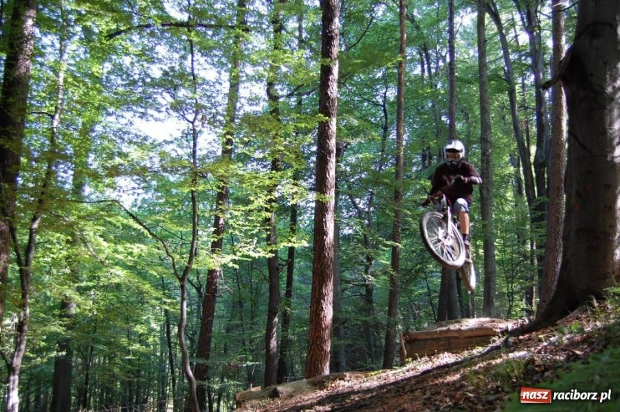 Zdjęcie w galerii na portalu naszraciborz.pl: Raciborscy downhillowcy w akcji wiadomości z regionu