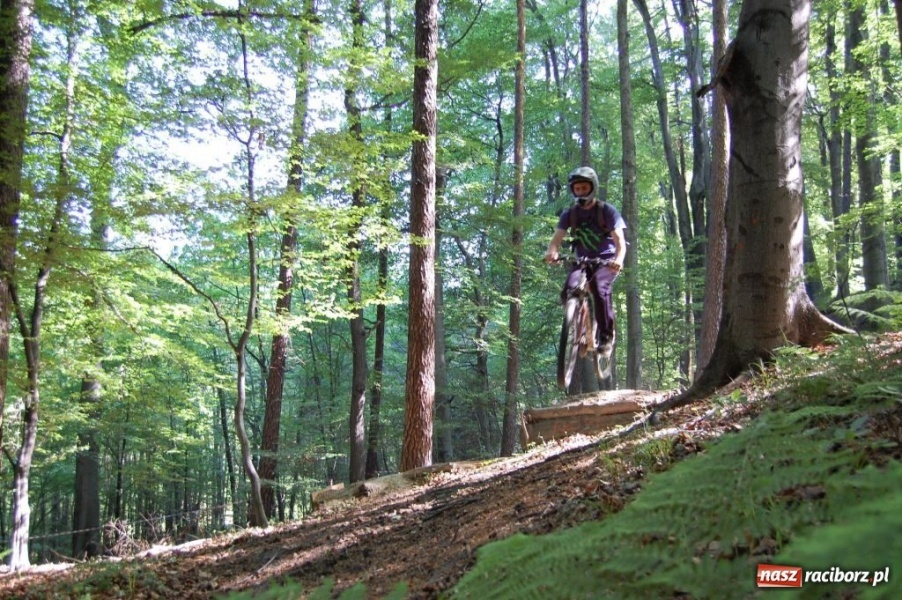 Zdjęcie w galerii na portalu naszraciborz.pl: Raciborscy downhillowcy w akcji wiadomości z regionu