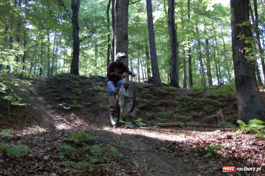 Zdjęcie w galerii na portalu naszraciborz.pl: Raciborscy downhillowcy w akcji wiadomości z regionu