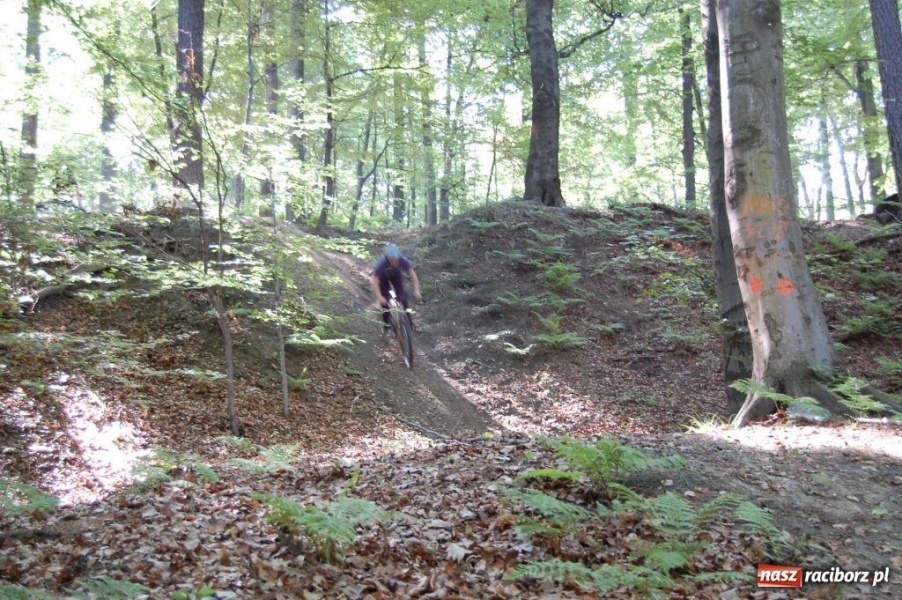 Zdjęcie w galerii na portalu naszraciborz.pl: Raciborscy downhillowcy w akcji wiadomości z regionu