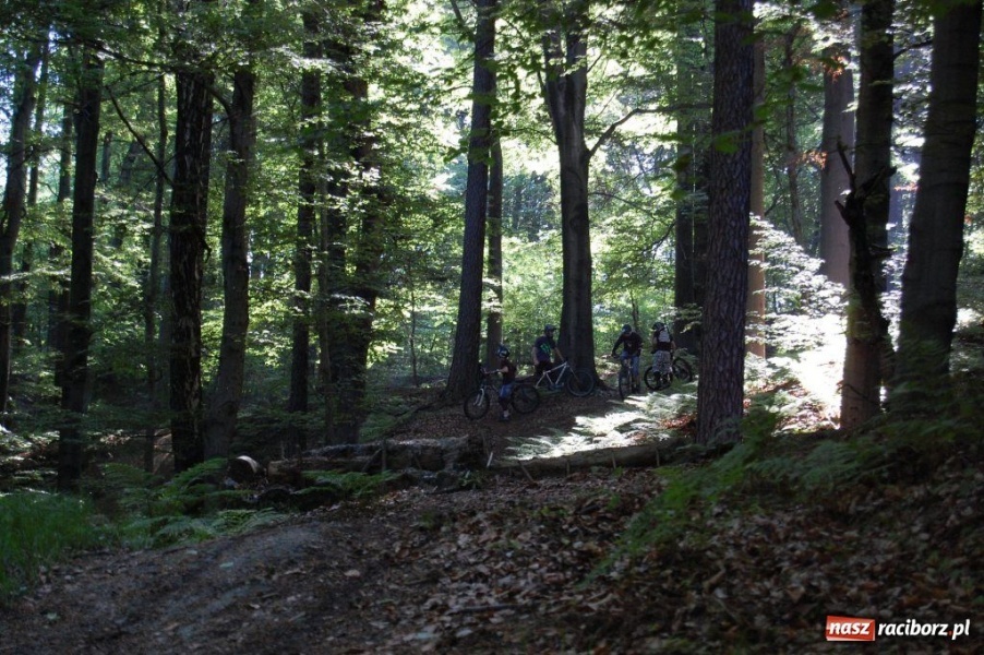 Zdjęcie w galerii na portalu naszraciborz.pl: Raciborscy downhillowcy w akcji wiadomości z regionu