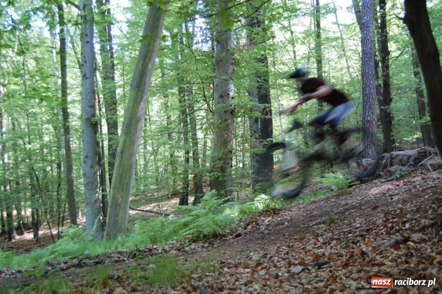 Zdjęcie w galerii na portalu naszraciborz.pl: Raciborscy downhillowcy w akcji wiadomości z regionu