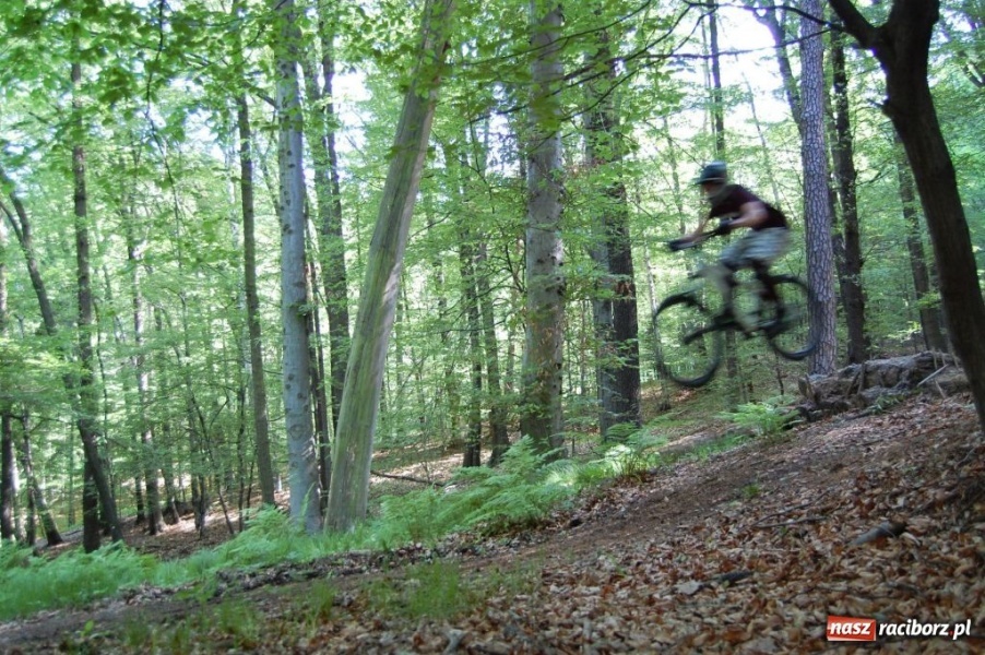 Zdjęcie w galerii na portalu naszraciborz.pl: Raciborscy downhillowcy w akcji wiadomości z regionu