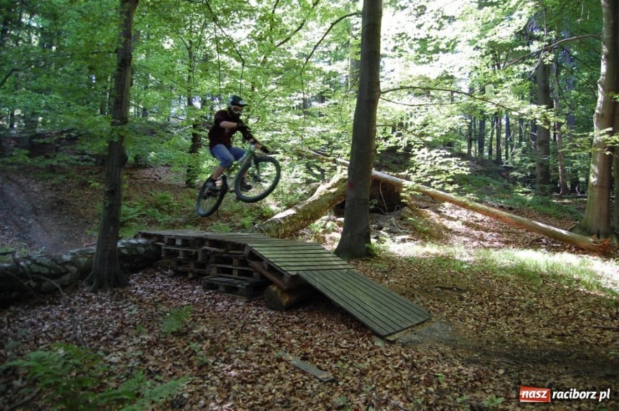 Zdjęcie w galerii na portalu naszraciborz.pl: Raciborscy downhillowcy w akcji wiadomości z regionu