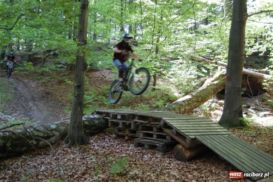 Zdjęcie w galerii na portalu naszraciborz.pl: Raciborscy downhillowcy w akcji wiadomości z regionu