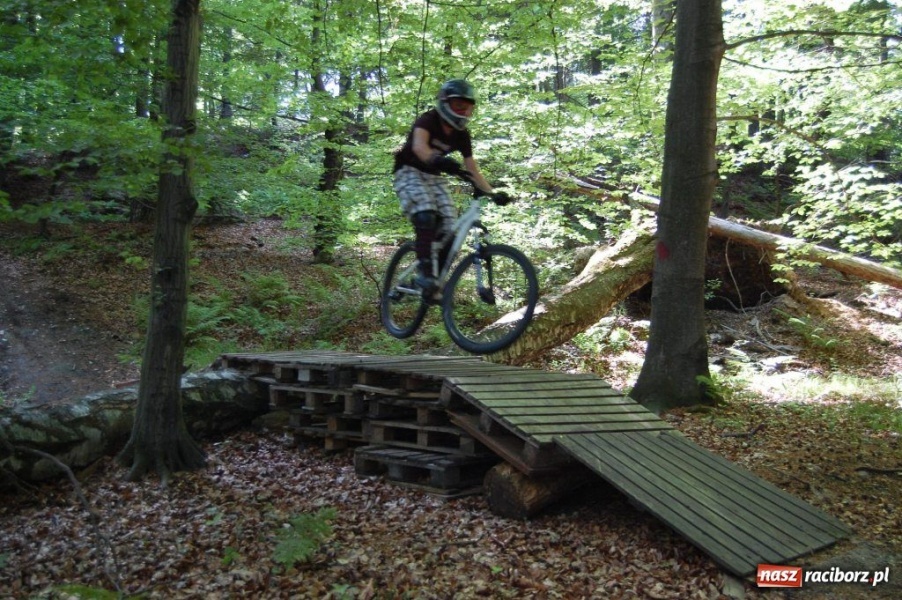 Zdjęcie w galerii na portalu naszraciborz.pl: Raciborscy downhillowcy w akcji wiadomości z regionu