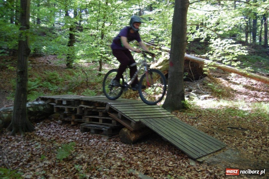 Zdjęcie w galerii na portalu naszraciborz.pl: Raciborscy downhillowcy w akcji wiadomości z regionu