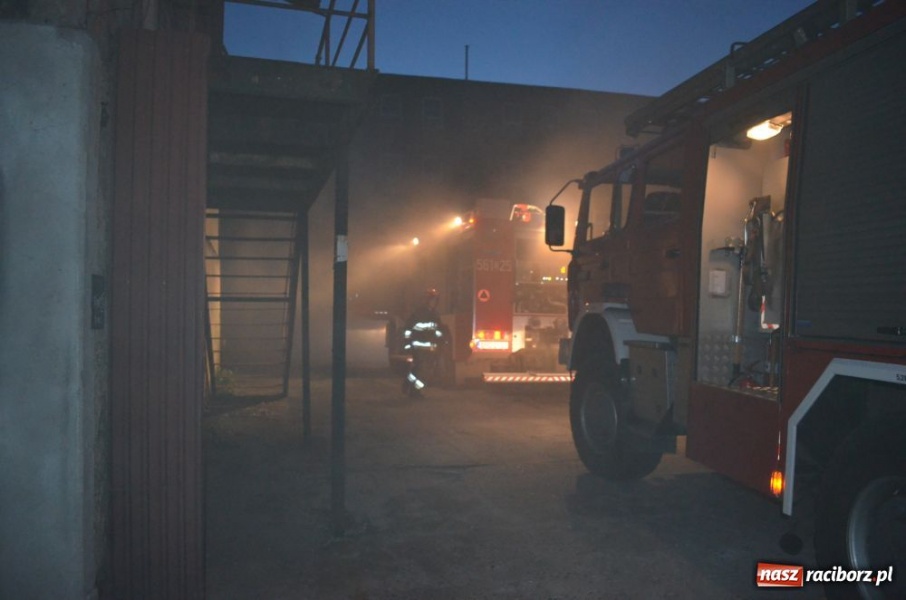 Zdjęcie w galerii na portalu naszraciborz.pl: Pożar na terenie dawnego Domgosu wiadomości z regionu