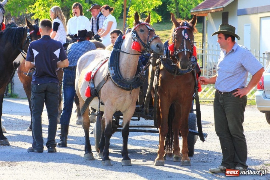 Zdjęcie w galerii na portalu naszraciborz.pl: Procesja ku czci św. Urbana w Kobyli wiadomości z regionu