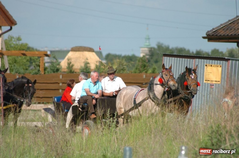 Zdjęcie w galerii na portalu naszraciborz.pl: W Brzeziu przeszła procesja św. Urbana wiadomości z regionu